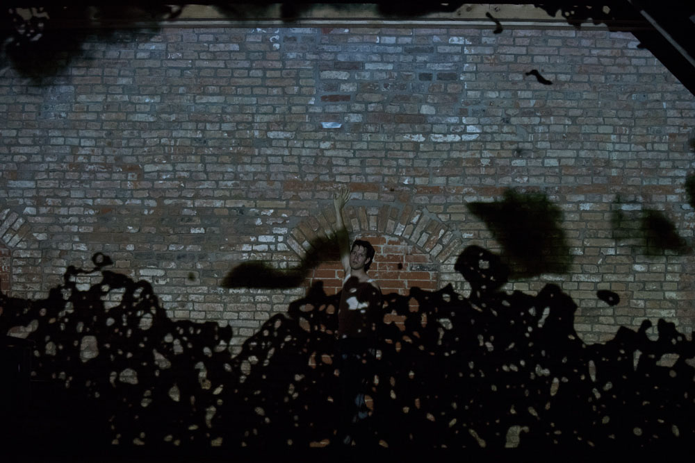 Die schöne Müllerin