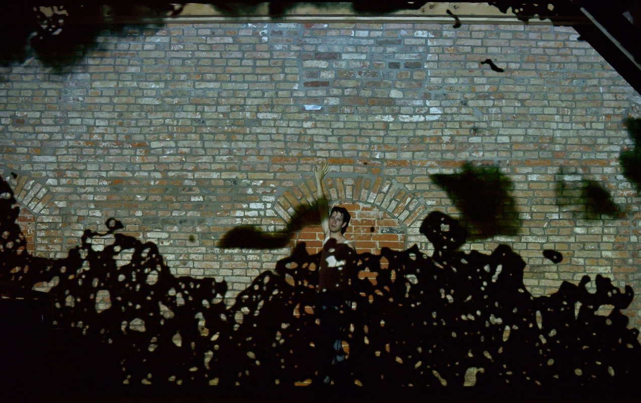 Die schöne Müllerin